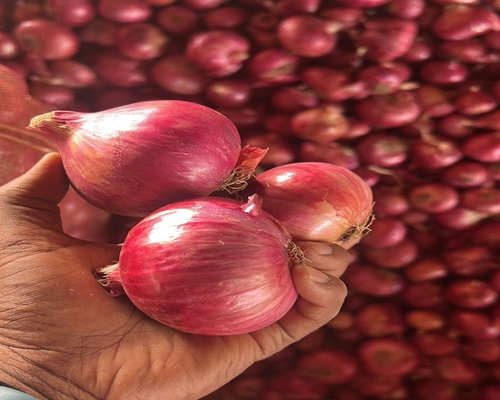 591147199_17867455674496778_1924709446239426925_n