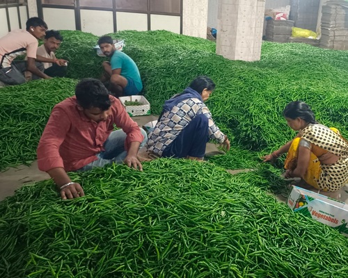 591177712_17867455008496778_2396606711627164896_n