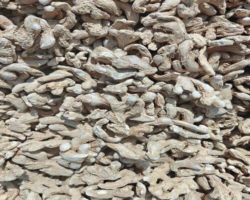 Organic-Dry-Ginger