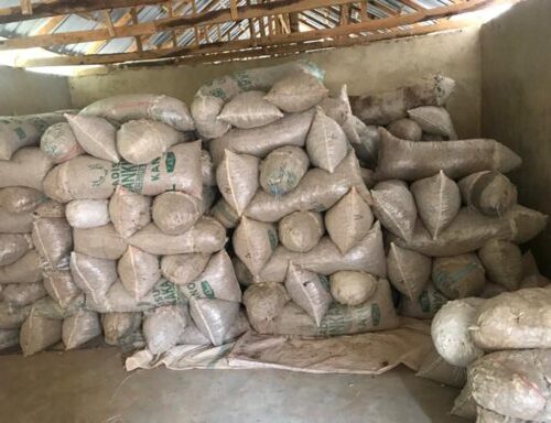 dry-split-ginger-globexia-nigeria-latest-38-512x384